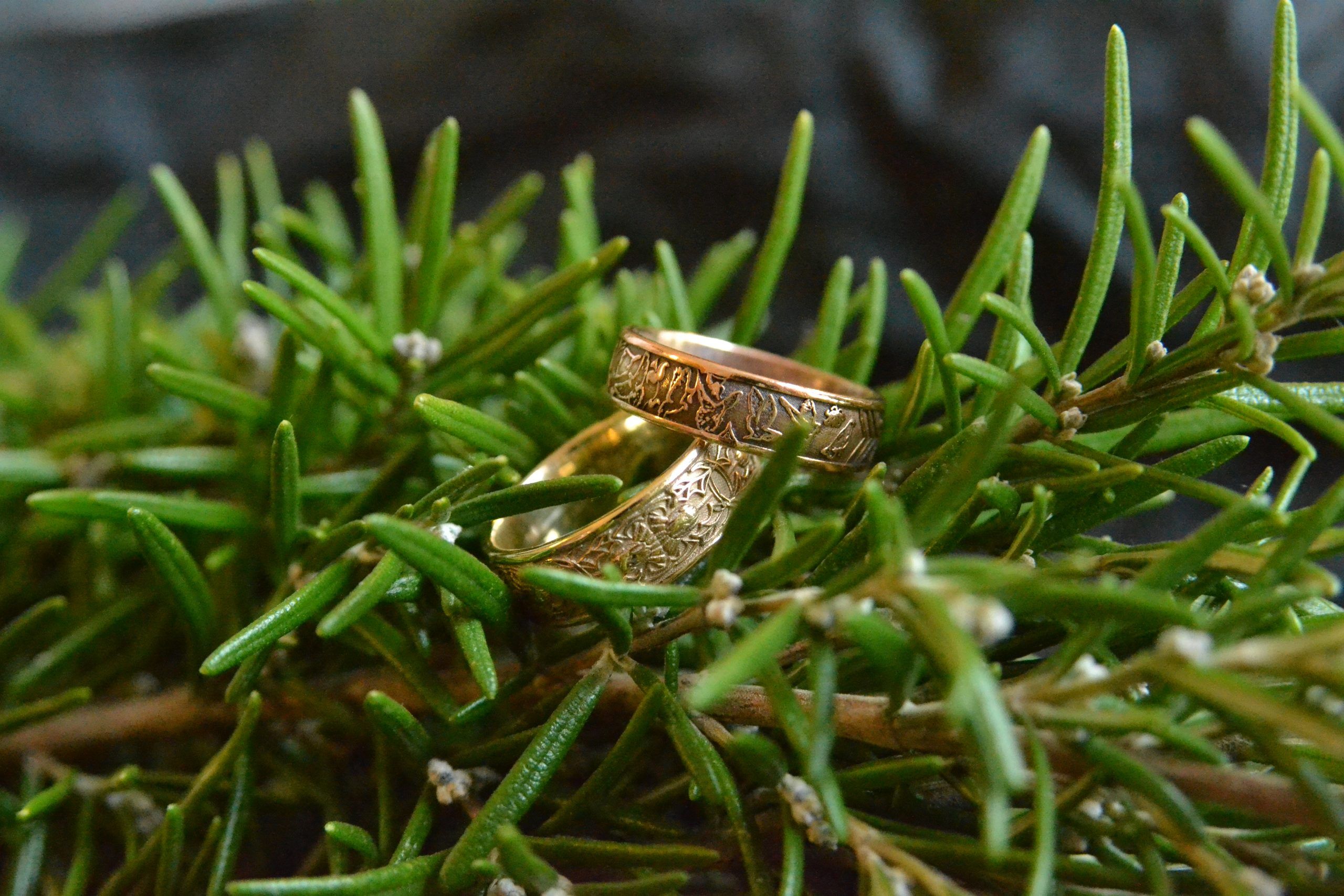 Textured yellow and rose gold wedding bands resting among rosemary branches, handmade by Tom McDanielson of The Middle Green