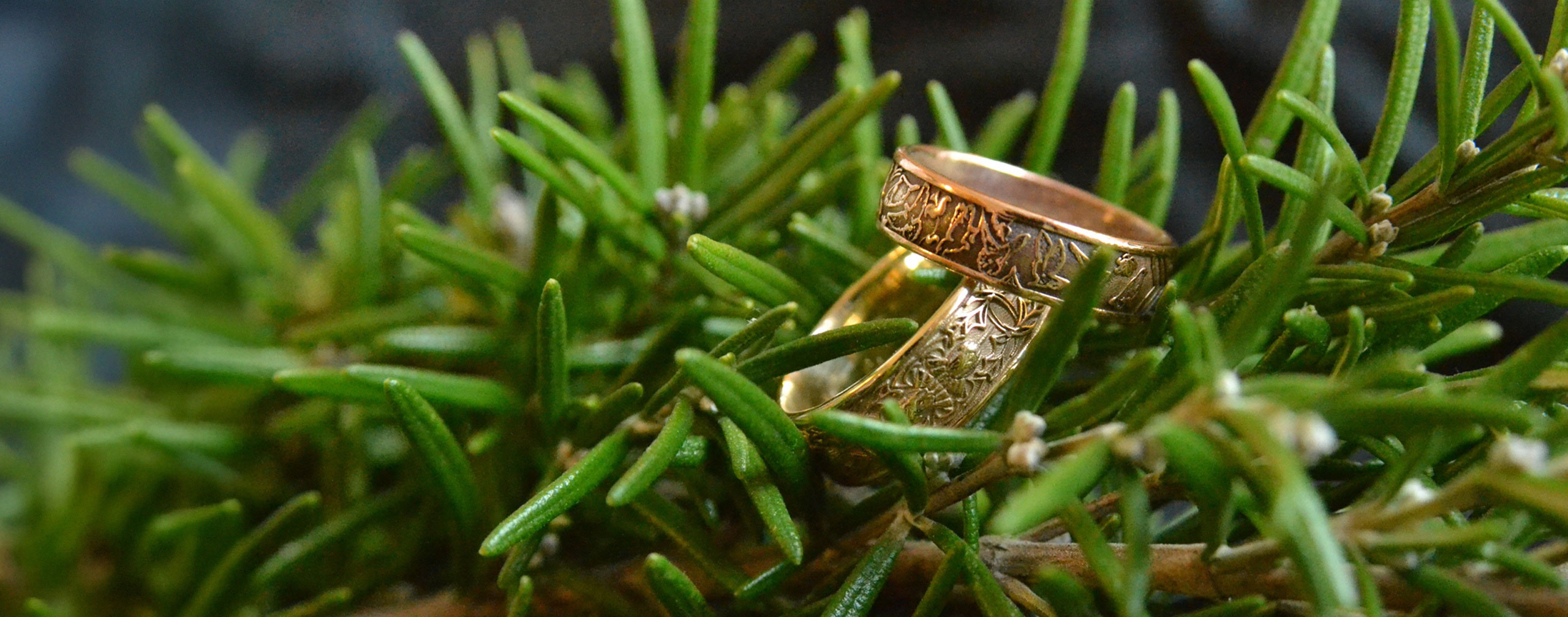 Our Rokke Collection